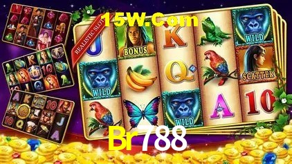 Especiais de Fim de Semana Br788